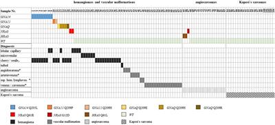 GNA14, GNA11, and GNAQ Mutations Are Frequent in Benign but Not Malignant Cutaneous Vascular Tumors